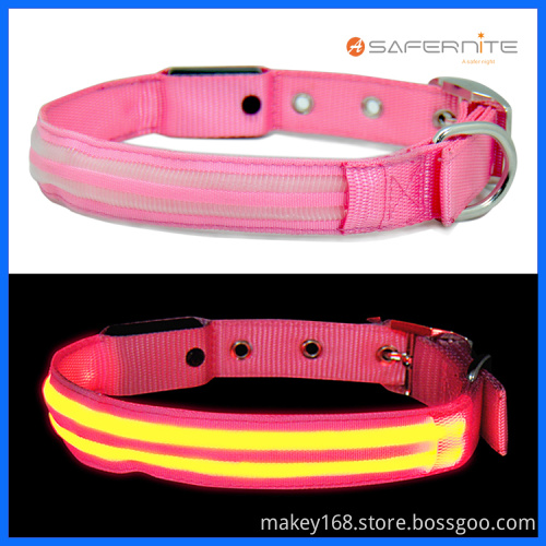 Night Fluorescent Lighted Dog Collar And Leash